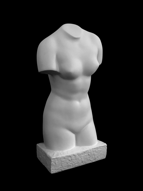 B28.1 TORSO DE GNIDO