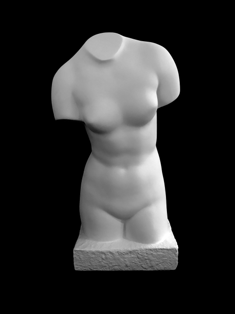B28.1 TORSO DE GNIDO
