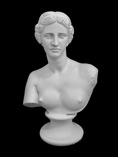 B31 VENUS DE MILO