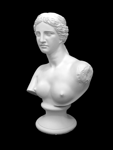 B31 VENUS DE MILO