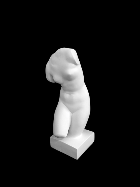 B59 TORSO FEM PEQUEÑO