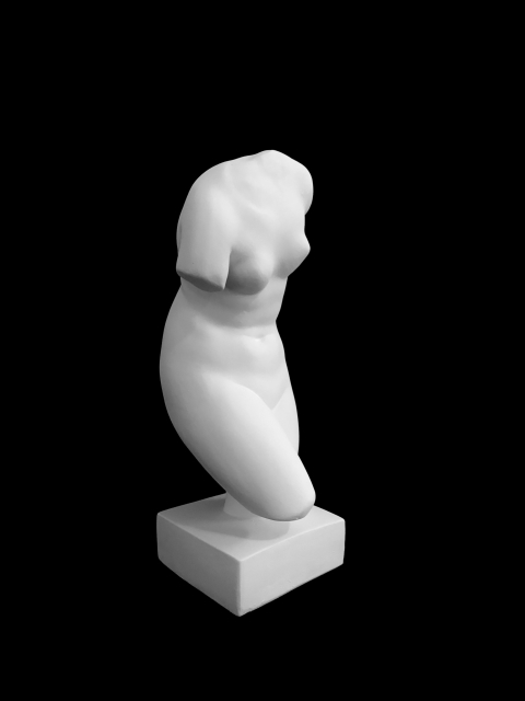 B59 TORSO FEM PEQUEÑO