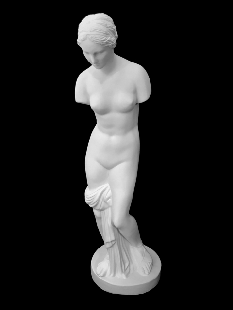 F1 VENUS DE GNIDO