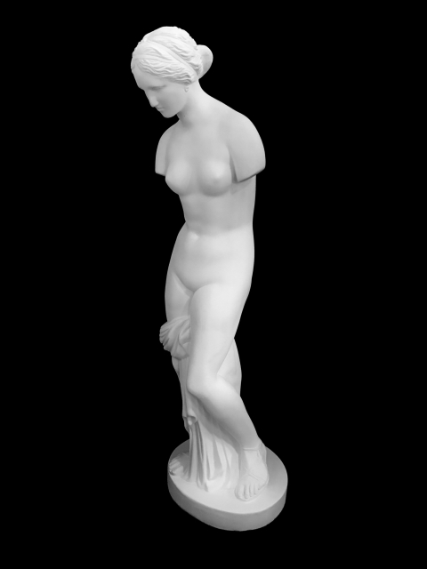 F1 VENUS DE GNIDO